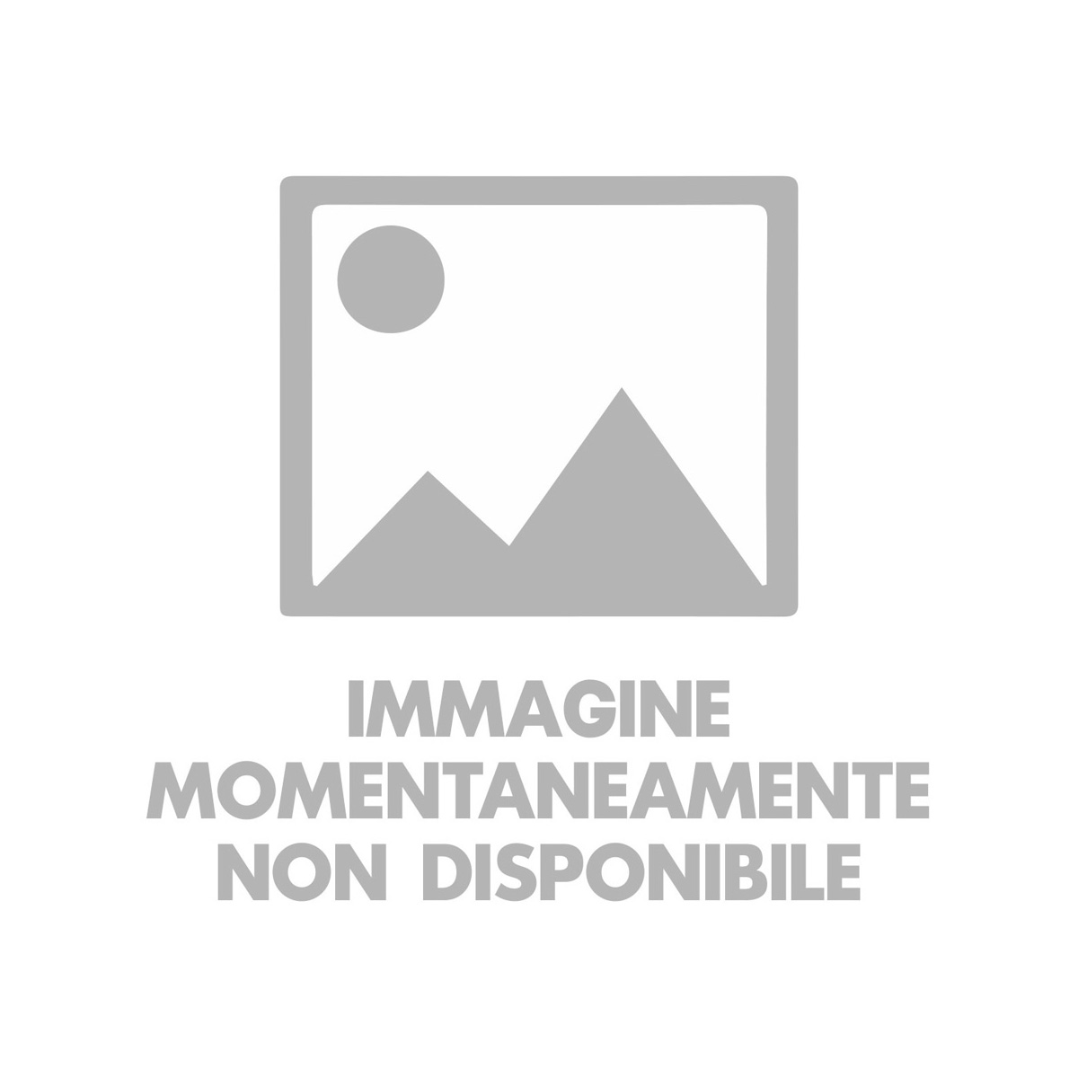 PENNA IN PLASTICA STAMPATA CON LOGO CARABINIERI